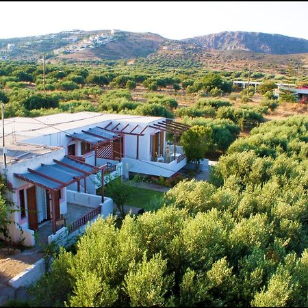 Voula'S Casa Di Mare Apartment Palekastro Bagian luar foto