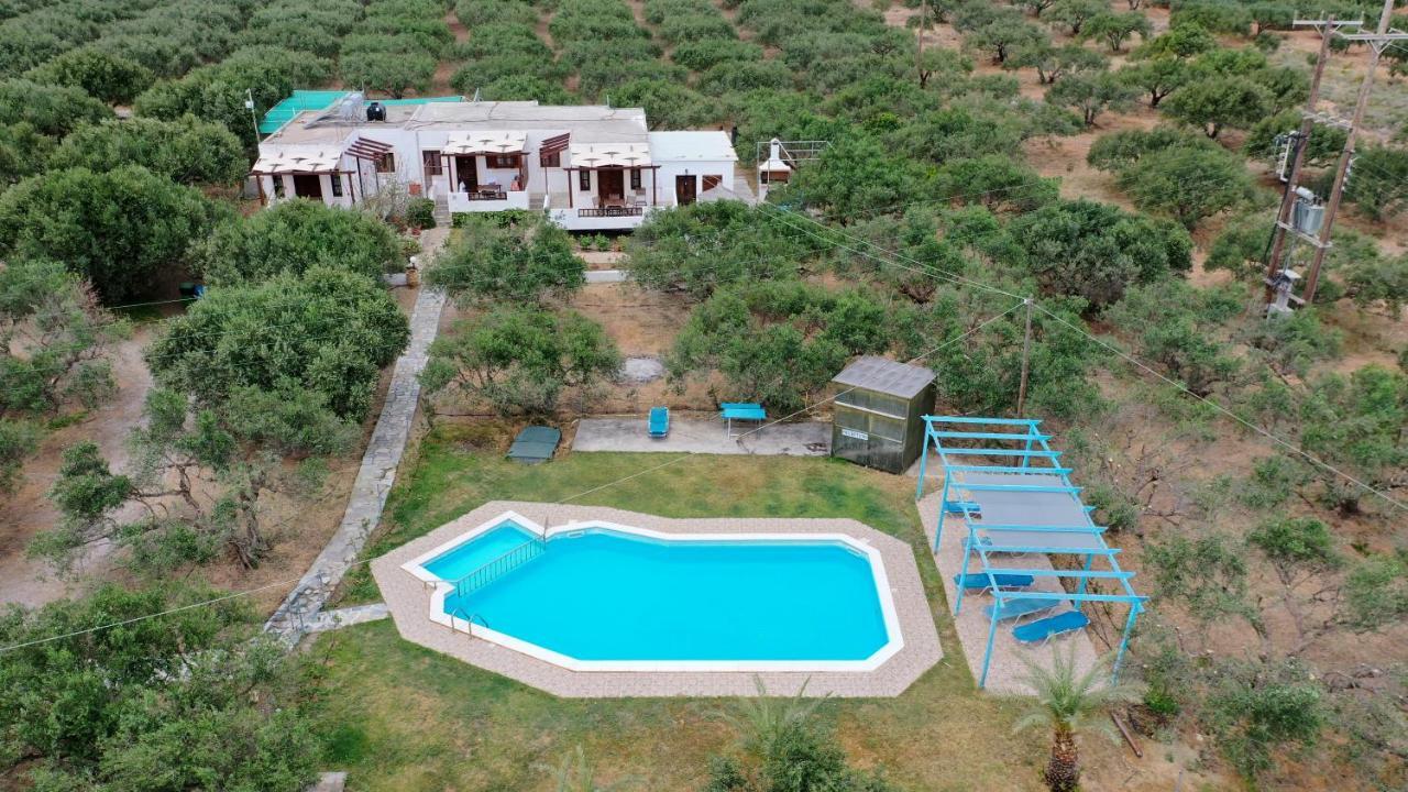 Voula'S Casa Di Mare Apartment Palekastro Bagian luar foto