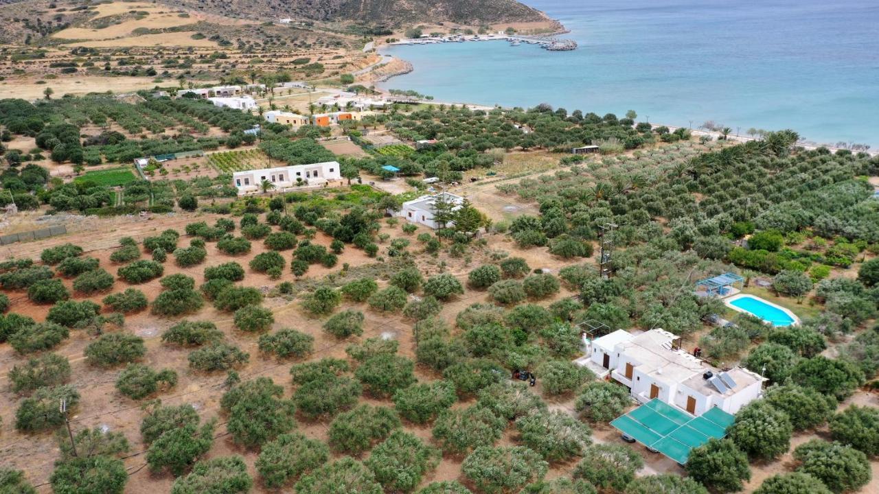 Voula'S Casa Di Mare Apartment Palekastro Bagian luar foto