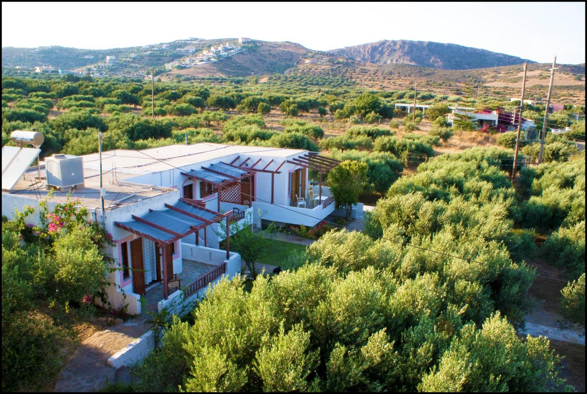 Voula'S Casa Di Mare Apartment Palekastro Bagian luar foto