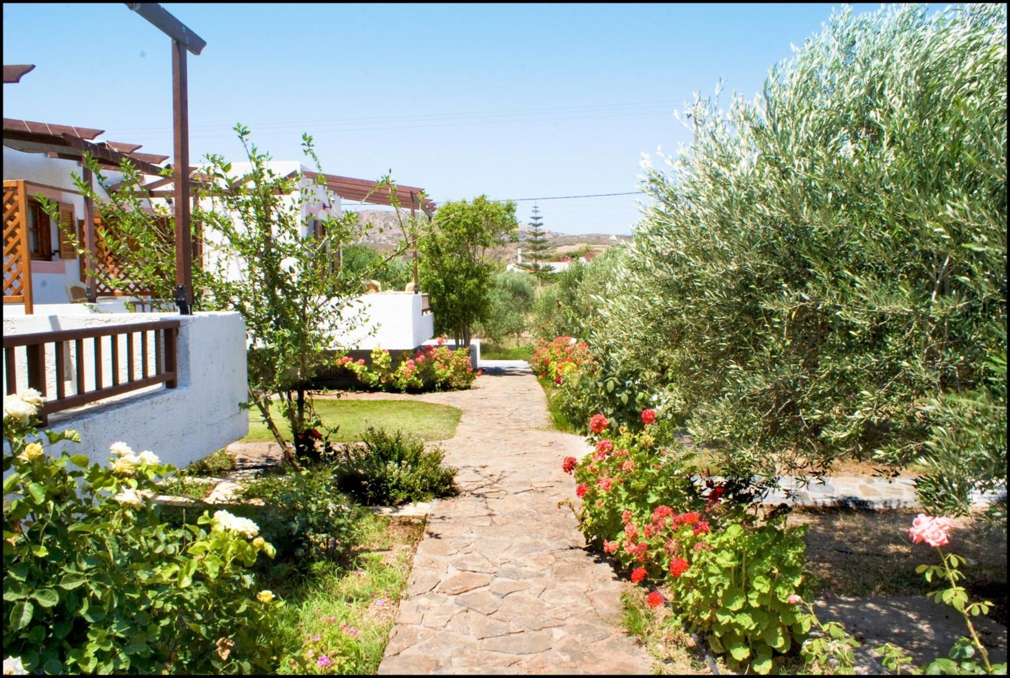 Voula'S Casa Di Mare Apartment Palekastro Bagian luar foto