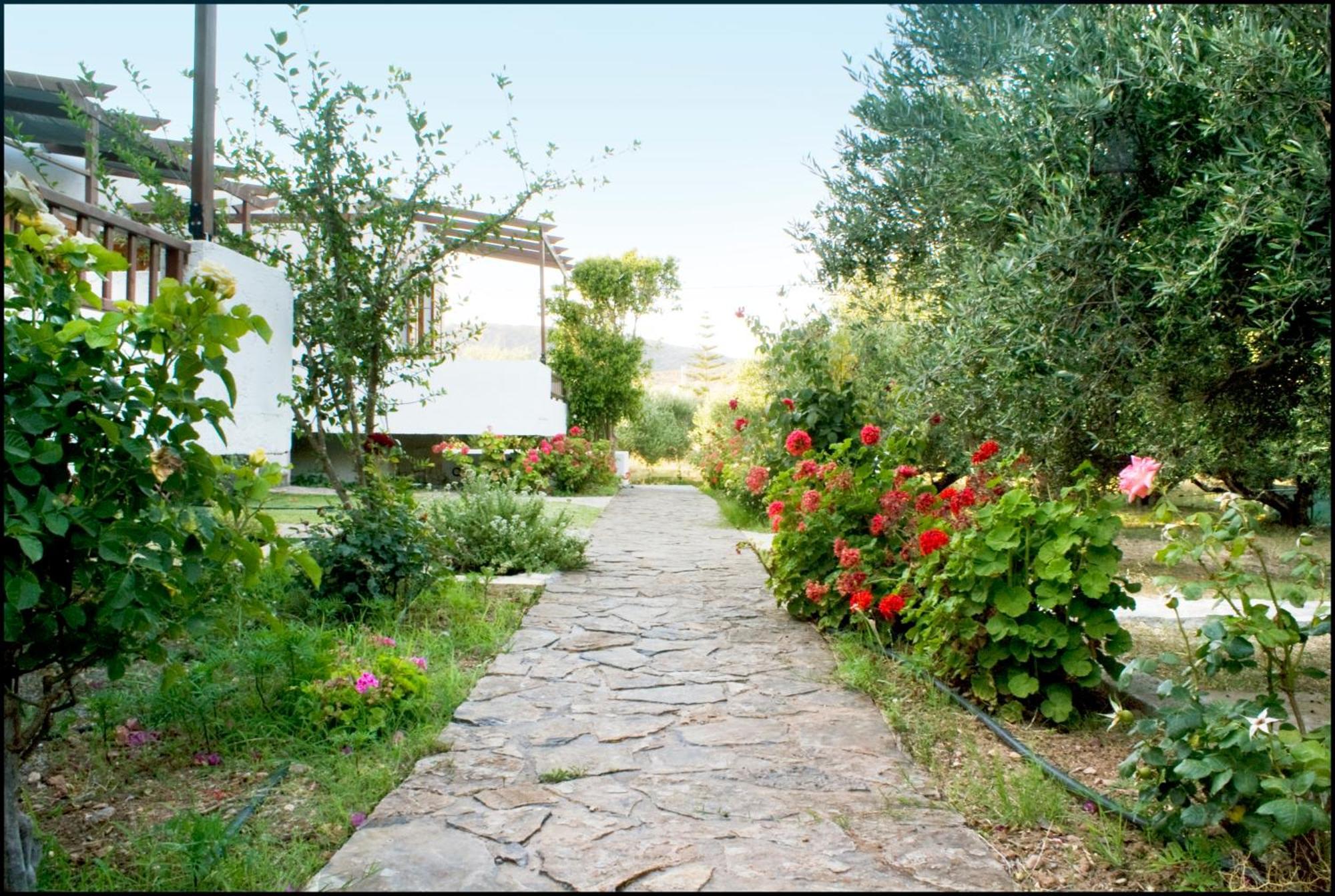 Voula'S Casa Di Mare Apartment Palekastro Bagian luar foto