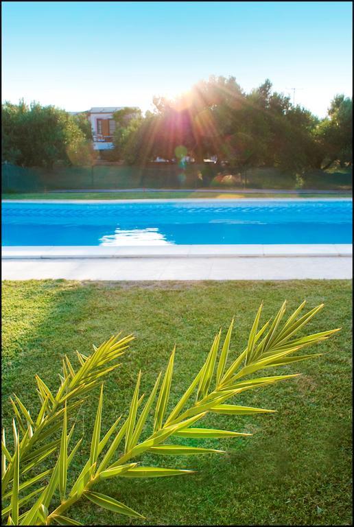 Voula'S Casa Di Mare Apartment Palekastro Bagian luar foto