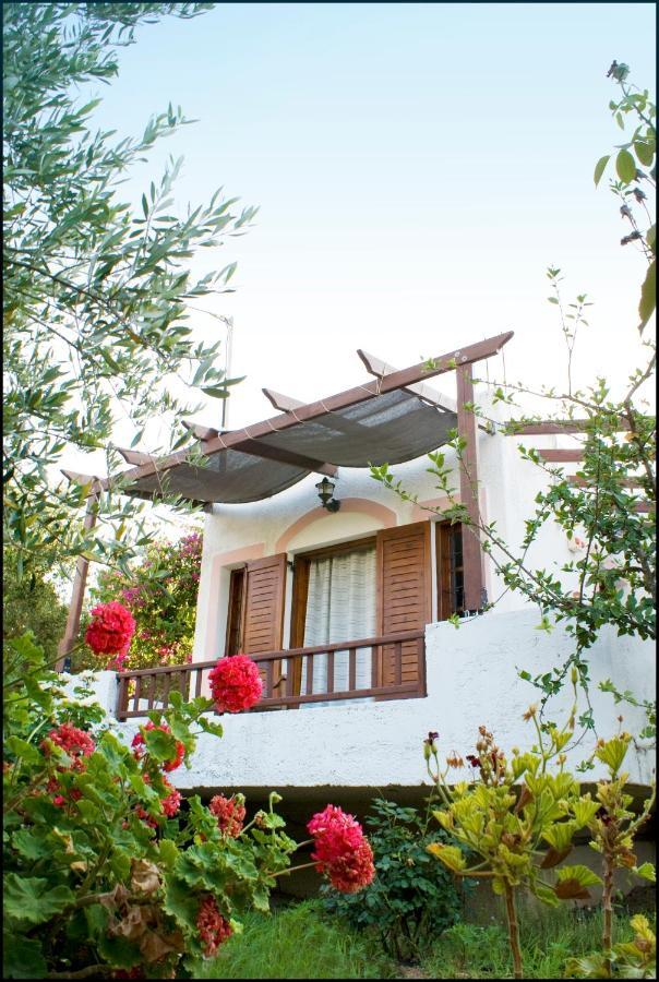 Voula'S Casa Di Mare Apartment Palekastro Ruang foto